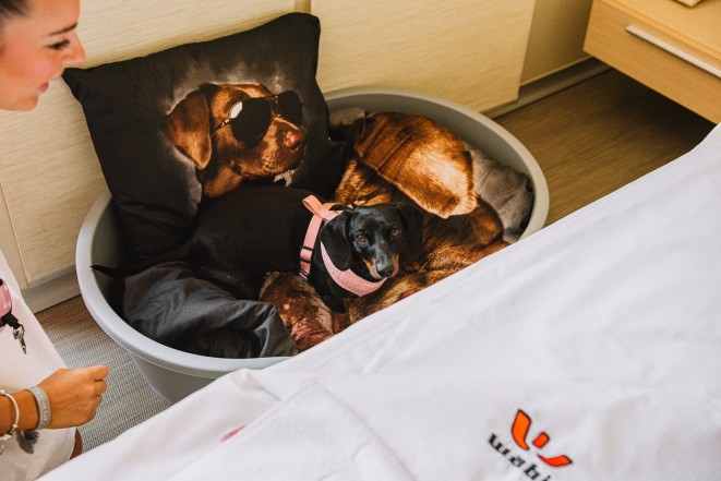 -5% für alle Hotelreservierungen